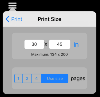 Setting the print size