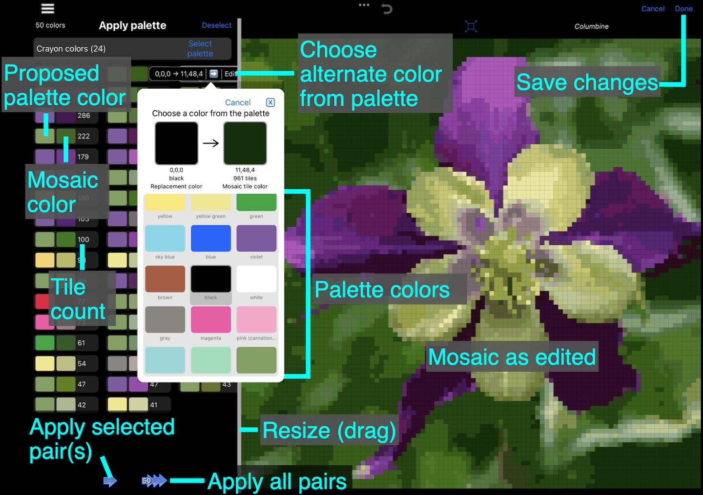 Annotated Apply palette, color controls