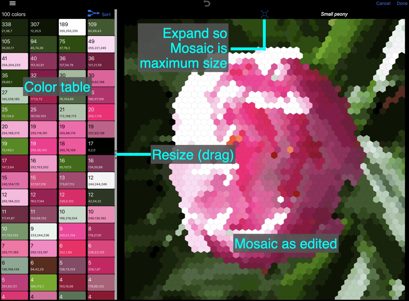 Image of mosaic editor with annotations