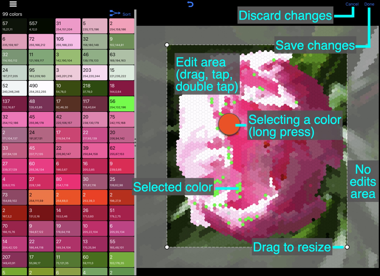 Editor with mosaic controls annotated