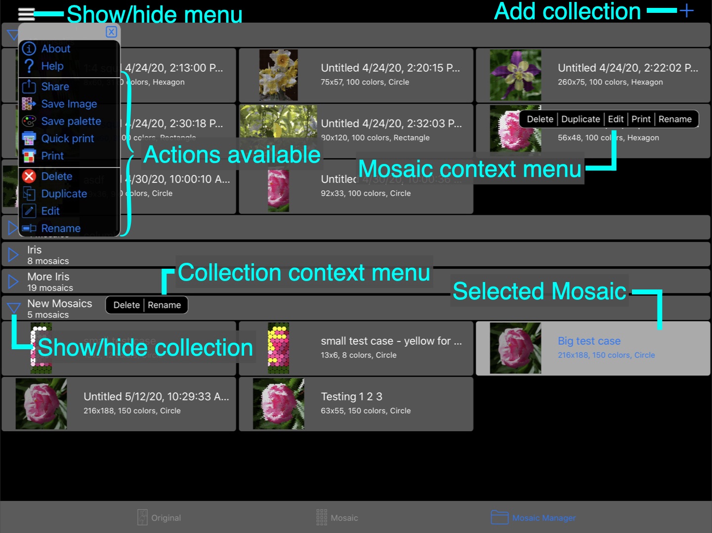 Annotated mosaic manager tab