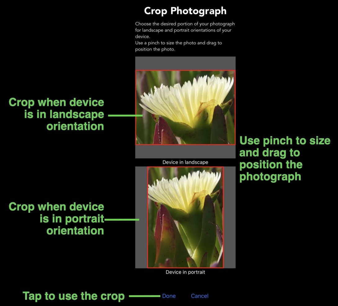 Cropping a photograph
